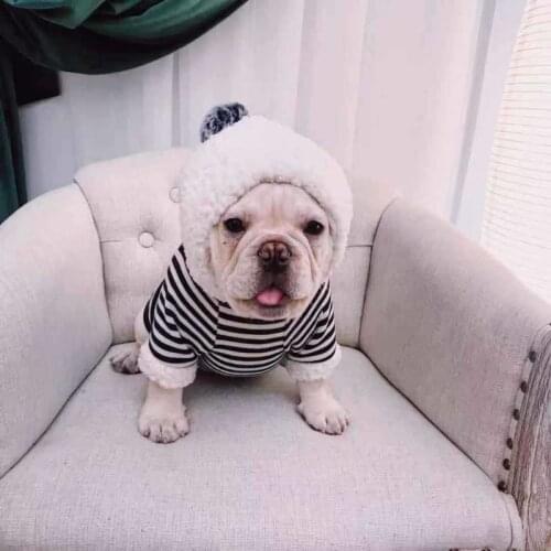 French Bulldog Clothing Winter Pet Coat Pug Clothes Poodle Bichon Pomeranian Schnauzer Corgi Dog Coat Hoodie Outfit Dropshipping