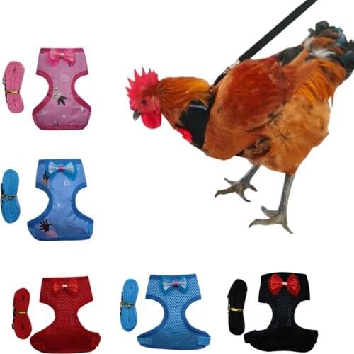 Adjustable Chicken Harness with Leash Elastic Comfortable Wearable Small Pet Harness for Duck Goose Hen Training Walking
