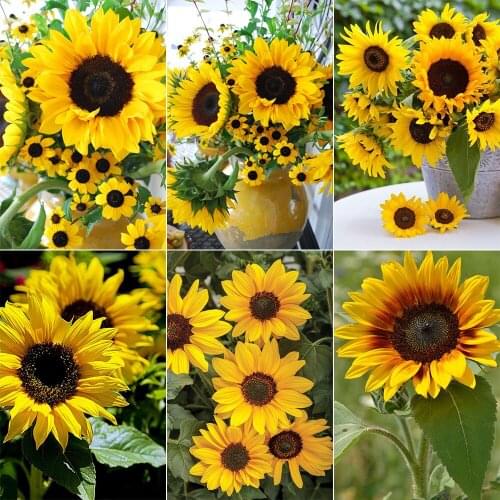 XUEQIXIAOZU Full Round sunflower Diamond drawing Mosaic painting 5D DIY Diamond embroidery Home decoration gifts 2020 New