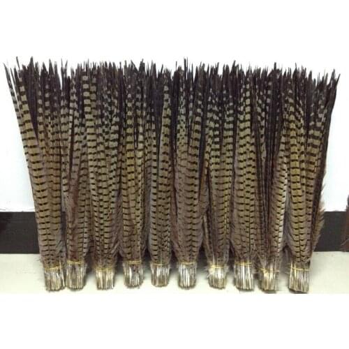 10pcs natural ringneck pheasant tails Feather 50-55cm long chicken feather for carnival performance showgirl backpieces plumes