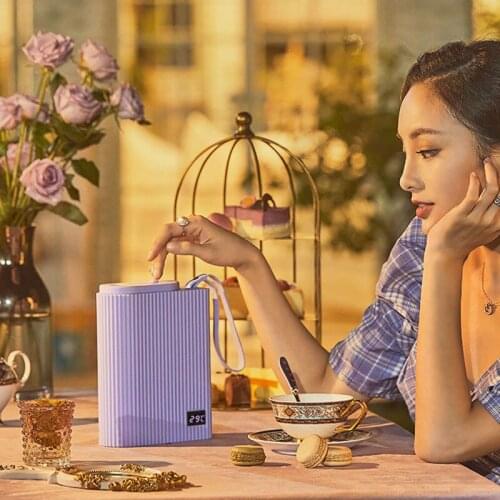 Portable Electric Kettle Teapot Heat Preservation Water Boiler Travel Thermal Cup Adjustable Temperature Heated Kettle 500ml