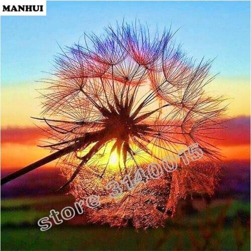 Diamond Mosaic Painting Cross Stitch Dandelion Square Full Decorative Diy Diamond Embroidery landscape Fashion Gifts BCD366