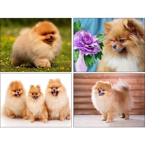 DIY diamond Embroidery Pomeranian 5D diamond painting of Cross stitch kit for living room Needlework set embroidery with diamond