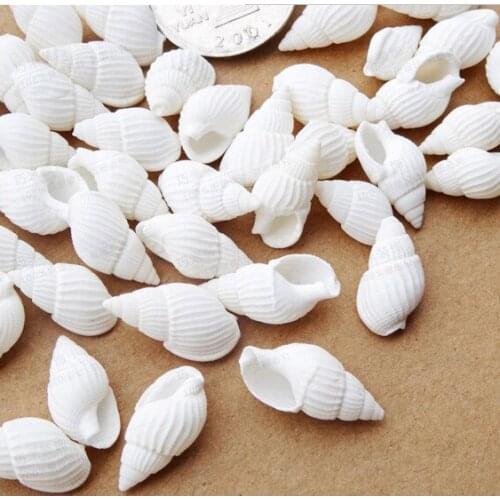 Free shipping 200pcs/lot 100% natural white color sea shell wedding/festival/party decoration
