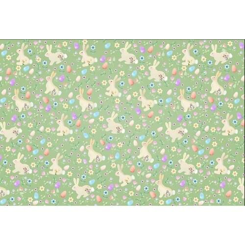 Carrot vinyl photography background easter bunny photo studio backdrop Dessert Table Photobooth