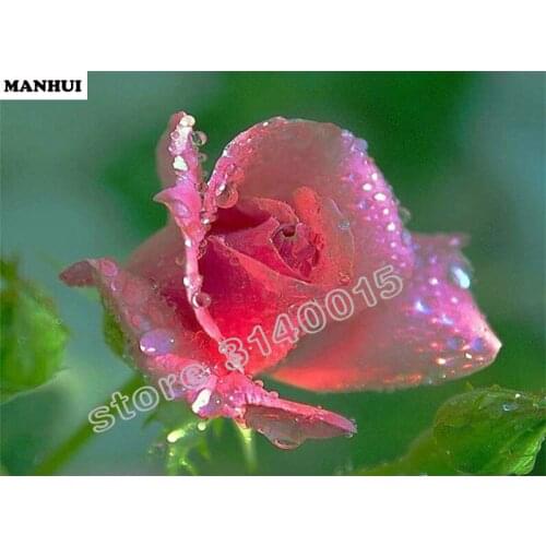 Diamond Cross Stitch Painting Diamond Embroidery Square Diamond Mosaic Picture Home Decoration Rose Flower BEC206