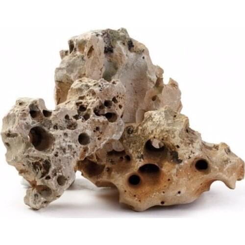 Aquarium Systems Pet Supplies