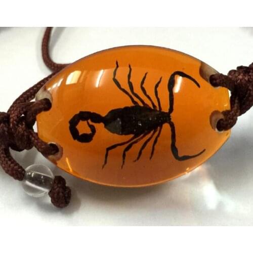 FREE SHIPPING 10 Bracelet Collection Bug Bracelet with REAL Scorpion In Orange Resin TAXIDERMY GIFT