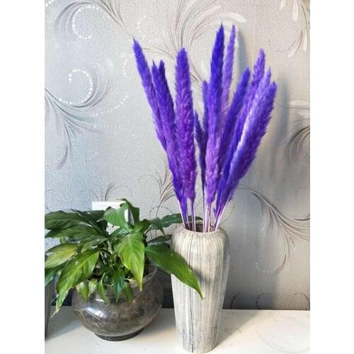 Real Pampas Grass Natural Plants Reed Home Decor Dried Flowers Decorativas Phragmites Ornamental Wedding Party Decoration