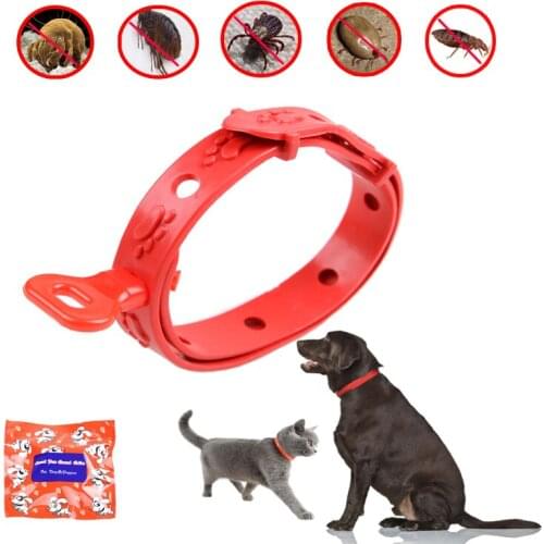 Natural Pet Anti insect Collar Cat Control Necklace Flea Lice Dog Remedy Tick Anti Mite Pet Neck Strap Repellent Cat Dog Collars