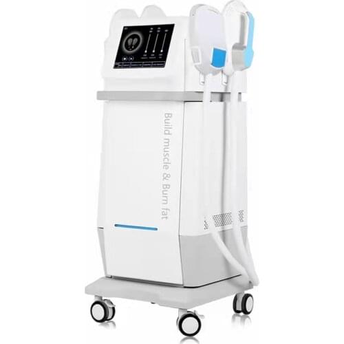 Professional Slim Beauty Emslim Body Sculptor HIEMT abs Traning Muscle Stimulator Tesla Sculptor With 4 Handles 5000W Big Power