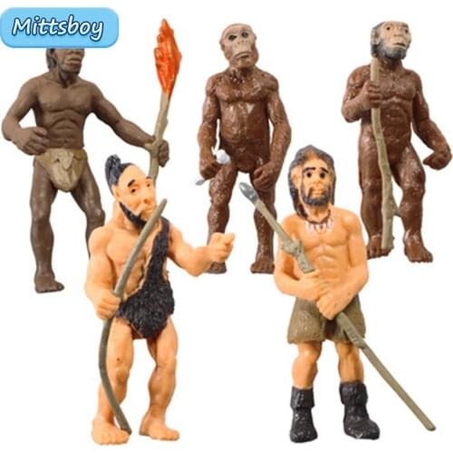 Simulation 5pcs/Set Human Evolutionary History Displays Figures Models Australopithecus To Homo sapiens Kid Educational Toy Gift