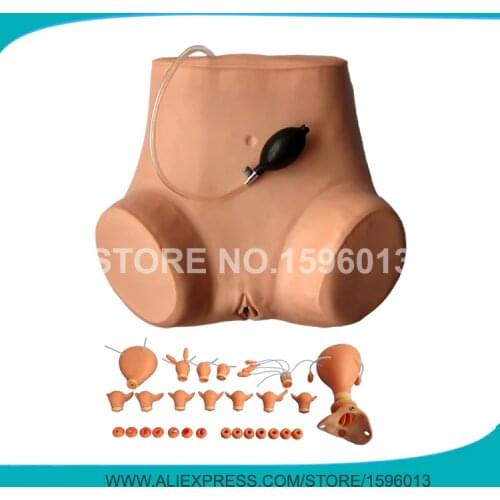 Advanced Gynecologist Examination Simulator,Gynecological Training model, Pelvic Examination model,GYN Training