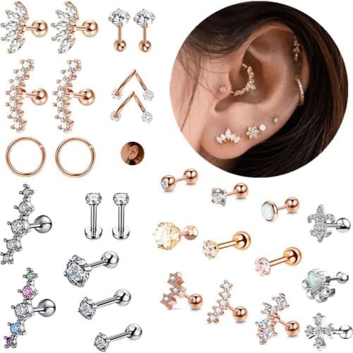 Stainless Steel Crystal Tragus Earring Flower Helix Piercing Stud Lot Cartilage Earring Stud Set Daith Rook Earing Conch Jewelry