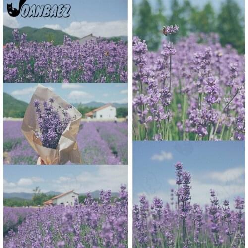 Lavender 5D Diy Diamond Painting Purple Landscape Cross Stitch Kit Manor Mosaic Hand Inlaid Home Decoration Gift Design