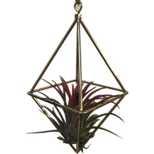 Hanging Tillandsia Air Plants Rack Metal Geometric Iron Art Rustic Flower Planter Pot Plants Rack