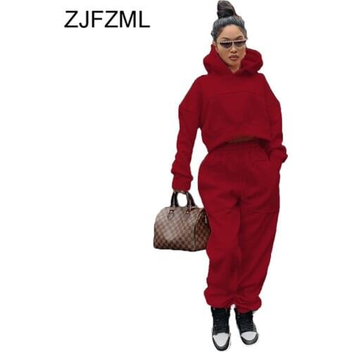 Pink Sportswear Two Piece Sets Women 2021 New Streetwear Full Sleeve Hooded Sweatshirt and Pocket Sweatpant Female Matching Suit