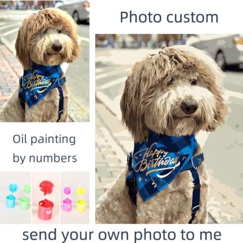 Digital painting pet photos custom digital painting on canvas coloring (only support net map)