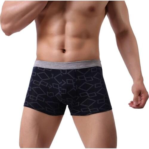 Yipihorse Men's Cotton Briefs
