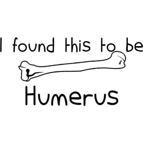 25*12cm Dog Lover Quote Sticker Decal I Found This To Be Humerus Bone Design Car Sticker Rear Windshield Decor CL033