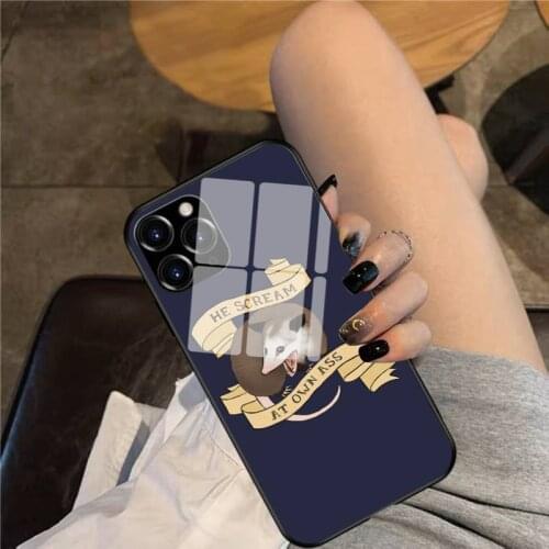 Possum Phone Case Glass Phone Case For iphone 12 11 Pro Max XS XR X 8 7 Plus SE2 Case