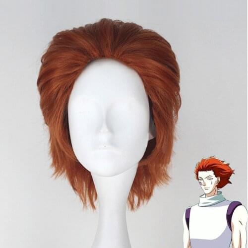 Anime Hunter X Hunter Hisoka Cosplay Wigs Brown Short Hair Hisoka Wig Accessories Phantom Troupe