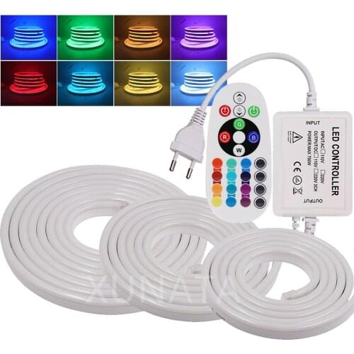 220V 240V RGB Neon Strip IP67 Waterproof Night Lamp 2835 5050 White/Warm White Ribbon Tape Flexible LED Strip