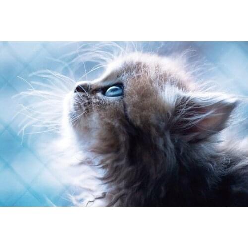 Innocent Kitten Diamond Painting Diy Diamond Embroidery Square Drill Diamond Mosaic Pasted Cross Stitch Crafts Needlework