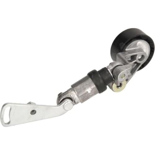 Adjusting Pulley Assembly - A/C Compressor Belt 11287515867 for BMW X5 E53 11287515867