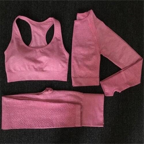2/3 Pcs Women Sportswear Yoga Set Workout Clothes Athletic Wear Gym Legging Seamless Fitness Bra Crop Top Long Sleeve Yoga Suit