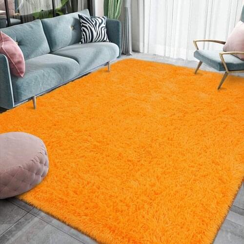 Luxury Fluffy Area Rug Living Room Carpet for Kids Girls Super Cute Comfortable Shag Rugs Modern Carpet Home Decor Floor Carpet