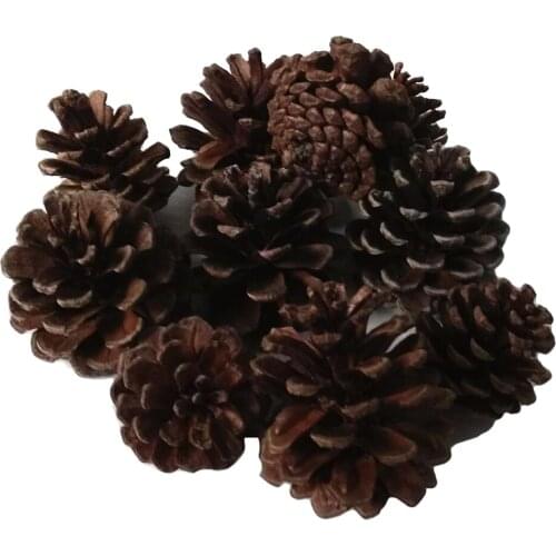 10pcs Natural Pine Cones In Bulk Dried Flowers Table Ornament for Home Christmas Decoration DIY Floral Craft Arrangement