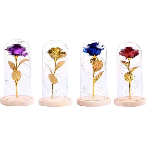 Dome Lamp Bell Jar Display Dome With Wooden Base And LED Fairy Lights Bedside Table Lamp