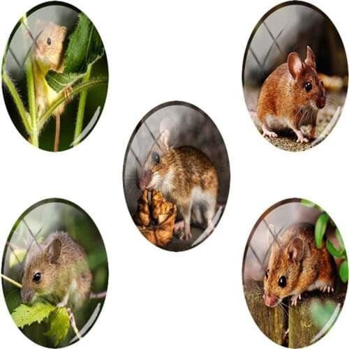 TAFREE Small Pet Rat Diy Patterns Vintage Flat Back 18x25mm Jewelry Findings Front Oval Glass Beads Dome For Kids HL74