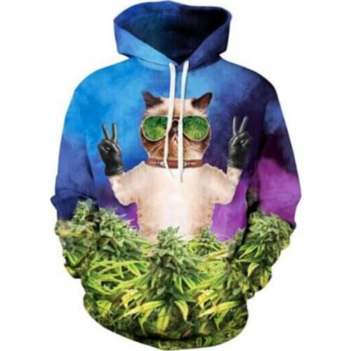Novelty Hoodies Men Sweatshirt Hip Hop Style Cool Cat Sunglasses Green Leaves 3D Print Sudaderas Hombre Harajuku Tops Clothing