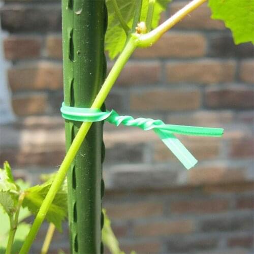 800 Precut Ready Cut Small Short Green Garden Gardening Plant Wire Ties Plant Rattan Bracket Support Garden Supplies