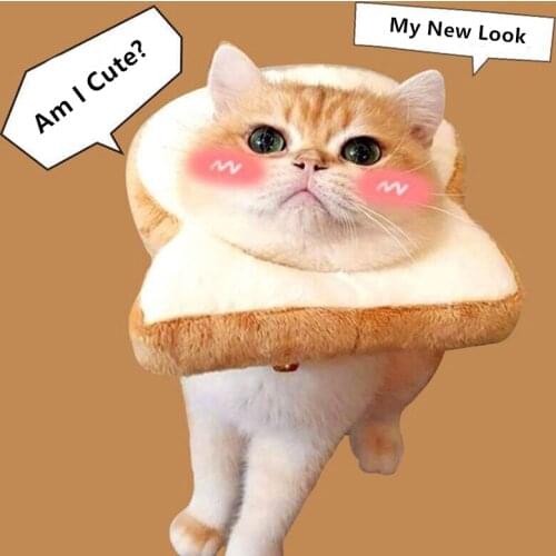 Pet Cone Adjustable Cat Cute Toast Neck Bread Collar Protective Recovery Elizabethan Soft Edge Kitten Wound Healing Surger Comfy