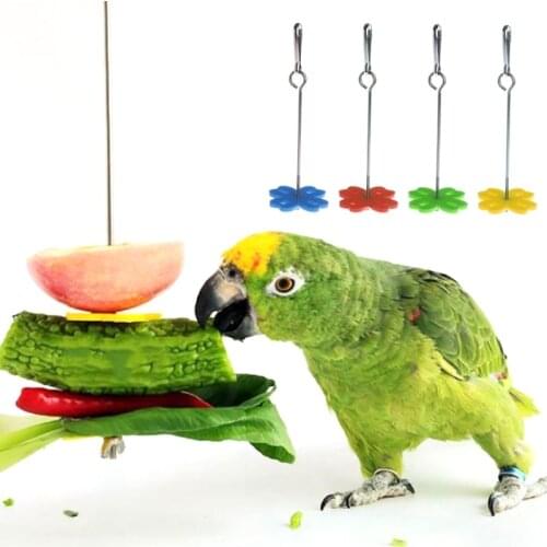 Parrot Fruit Fork Feeding Birds Hang Cage Stainless Steel Parakeet Skewer 2 Size