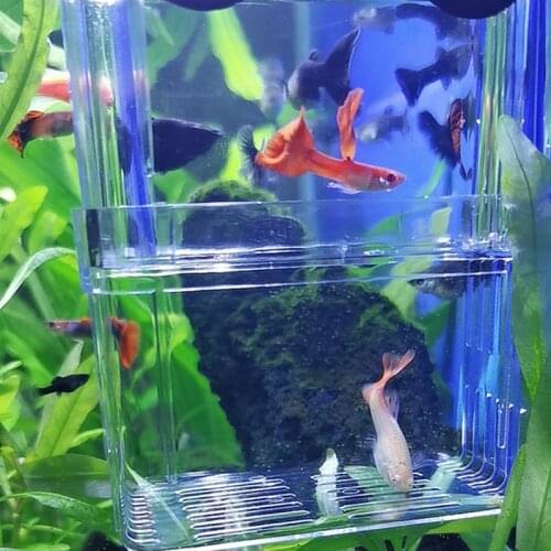 S/M/L Double-Deck Clear Fish Breeding Isolation Box Aquarium Breeder Fish Tank Guppy Betta Fish Hatching Incubator ryba house