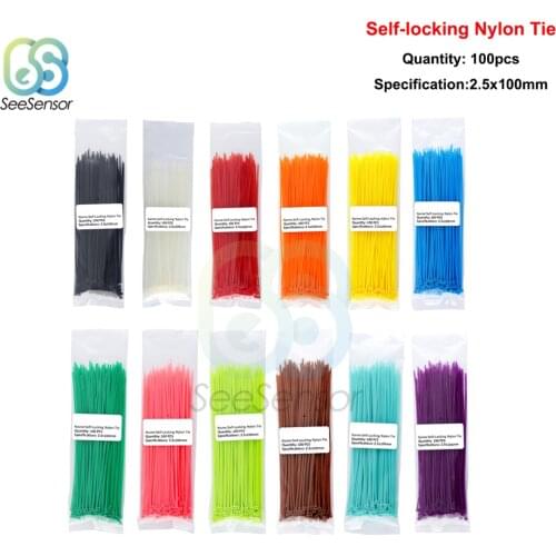 100pcs 100mm Self-locking Nylon Cable Ties Plastic Zip Tie Fasten Cable Binding Wrap Straps 12 Color 2.5mm*100mm