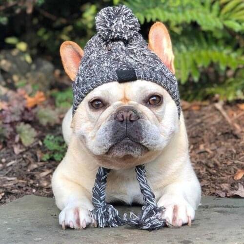 Winter Pet Dog Hat Cap Christmas Warm Windproof Pet Hats Woolen Dog Accessories For Small Medium Dogs Hat French Bulldog Outdoor