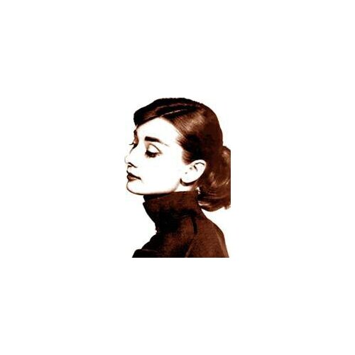 Classic beauty characters patterns Cross Stitch Kit A395 Audrey Hepburn 11CT accurate printed cloth Hand-embroidered needlework