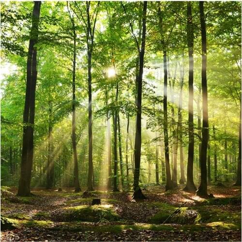 Wall Hanging Fabric 3d Creative Wall Tapestry Home Decor Living Room Background Fabric