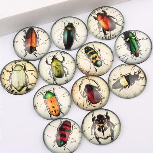 Reidgaller 50pcs 25mm mixed victorian insects bugs photo round dome jewelry glass cabochons diy findings