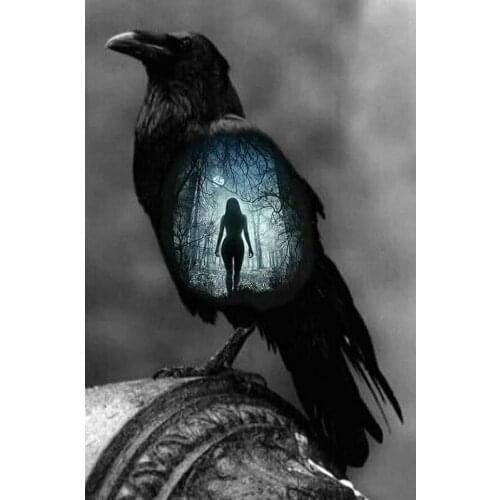 5d diamond painting full square round diamond embroidery "Animal crow"diamond DIY mosaic Fantasy crow beauty scenery home decor