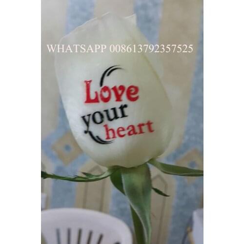 Digital nail and flower printer latest model and best price support images printing from phone