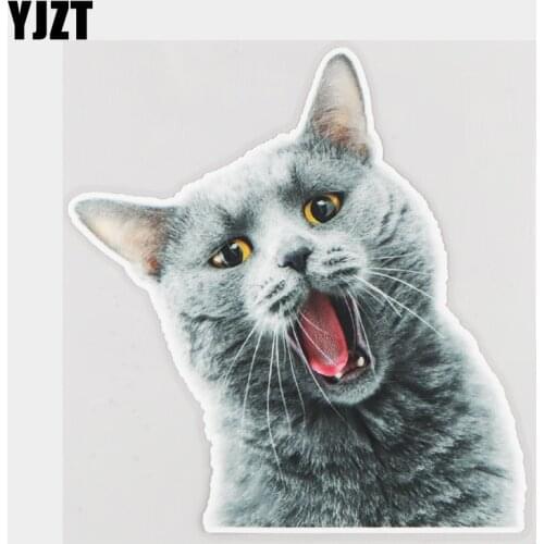 YJZT 16.7×18CM Funny Shorthair Cat Window Bumper Decoration Stickers Car Accessories 21A-0046