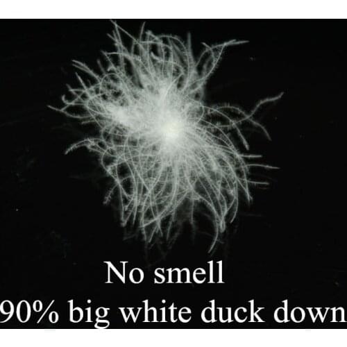 Free shipping epacket /90%Bulk duck down fill power 600 & down coat filler & European standard & 5 oz price /paypal accepted