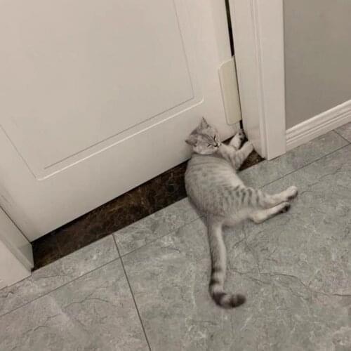 Door Opener Controllable Entry Training Open Door Enter Security Eaily Gate Kit Supplie Without Drilling