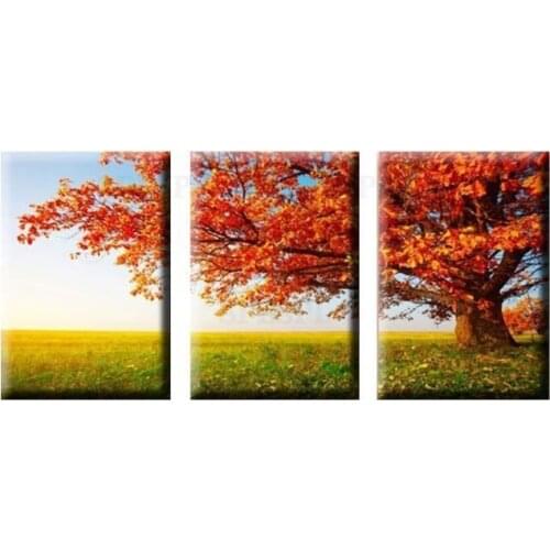 3 Piece Art Oil Canvas Romantic Wall Art Autumn Maple Tree Picture Canvas Painting Wall Pictures For Living Room